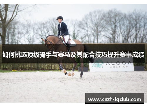如何挑选顶级骑手与赛马及其配合技巧提升赛事成绩