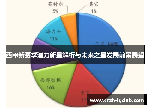 西甲新赛季潜力新星解析与未来之星发展前景展望