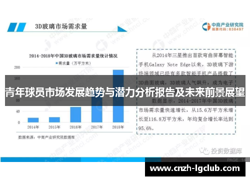 青年球员市场发展趋势与潜力分析报告及未来前景展望 青年球员市场发展趋势与潜力分析报告及未来前景展望
