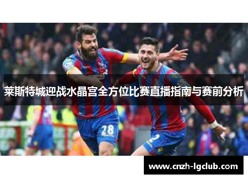 莱斯特城迎战水晶宫全方位比赛直播指南与赛前分析 莱斯特城迎战水晶宫全方位比赛直播指南与赛前分析