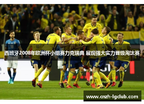 西班牙2008年欧洲杯小组赛力克瑞典 展现强大实力晋级淘汰赛 西班牙2008年欧洲杯小组赛力克瑞典 展现强大实力晋级淘汰赛