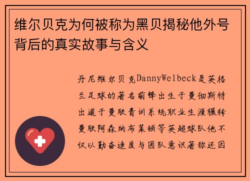 维尔贝克为何被称为黑贝揭秘他外号背后的真实故事与含义 维尔贝克为何被称为黑贝揭秘他外号背后的真实故事与含义