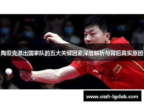 陶菲克退出国家队的五大关键因素深度解析与背后真实原因 陶菲克退出国家队的五大关键因素深度解析与背后真实原因