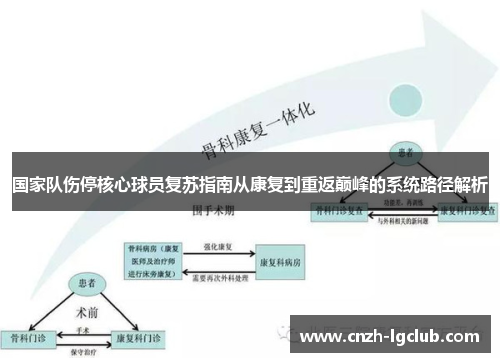 国家队伤停核心球员复苏指南从康复到重返巅峰的系统路径解析 国家队伤停核心球员复苏指南从康复到重返巅峰的系统路径解析